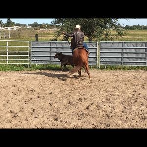 Meet your Posher, Caleb